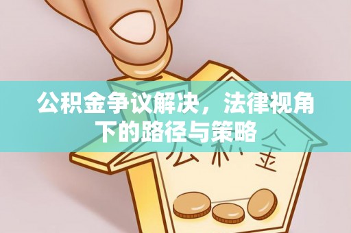 洛宁公积金争议解决，法律视角下的路径与策略