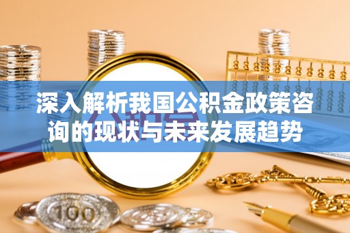 洛宁深入解析我国公积金政策咨询的现状与未来发展趋势