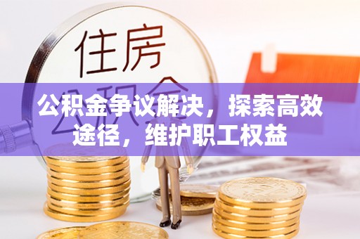 洛宁公积金争议解决，探索高效途径，维护职工权益