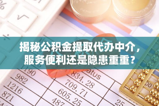 洛宁揭秘公积金提取代办中介，服务便利还是隐患重重？