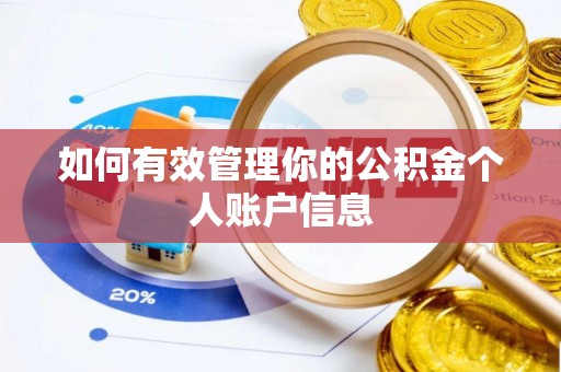 洛宁如何有效管理你的公积金个人账户信息