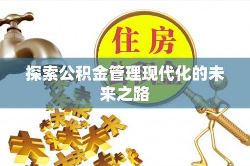 洛宁探索公积金管理现代化的未来之路