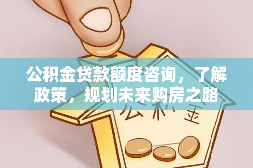 洛宁公积金贷款额度咨询，了解政策，规划未来购房之路