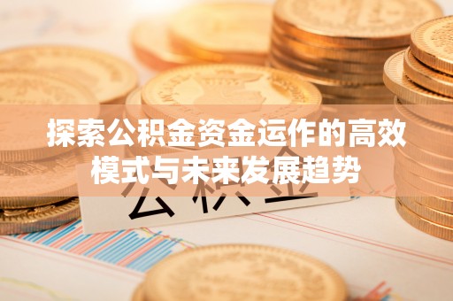 洛宁探索公积金资金运作的高效模式与未来发展趋势