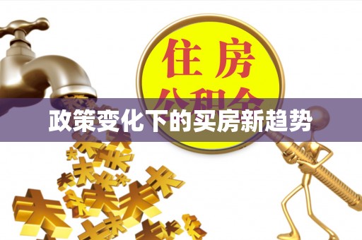 洛宁政策变化下的买房新趋势