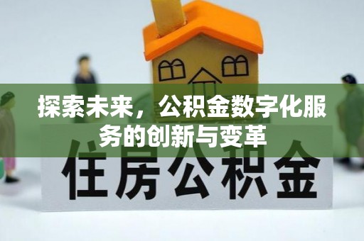 洛宁探索未来，公积金数字化服务的创新与变革