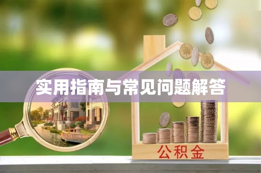 洛宁实用指南与常见问题解答
