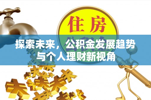 洛宁探索未来，公积金发展趋势与个人理财新视角