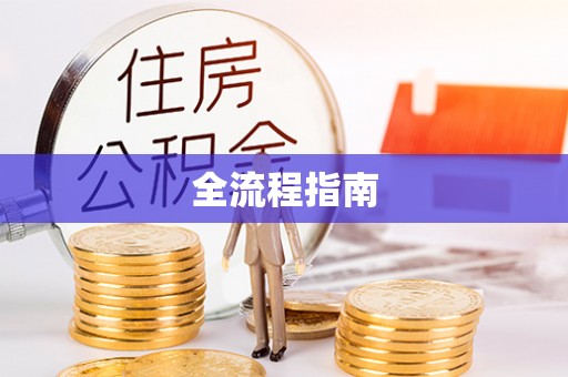 洛宁全流程指南