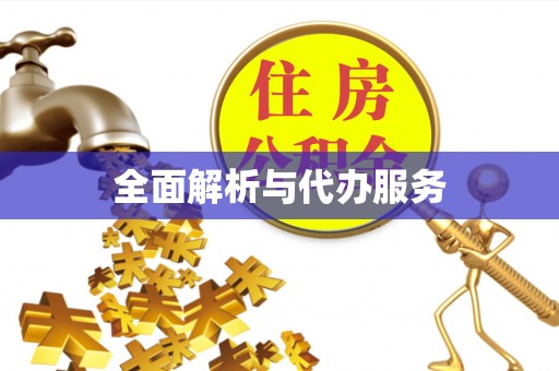 洛宁全面解析与代办服务