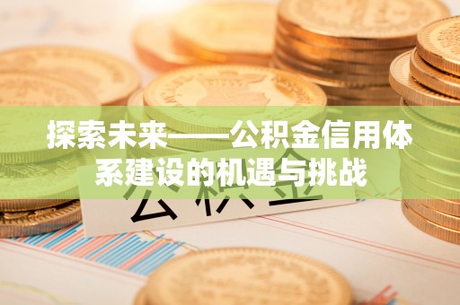 洛宁探索未来——公积金信用体系建设的机遇与挑战