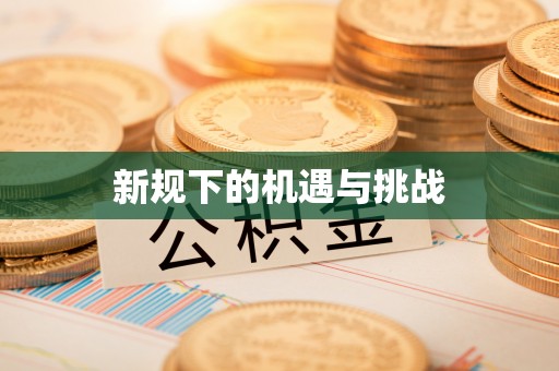 洛宁新规下的机遇与挑战
