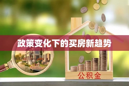 洛宁政策变化下的买房新趋势