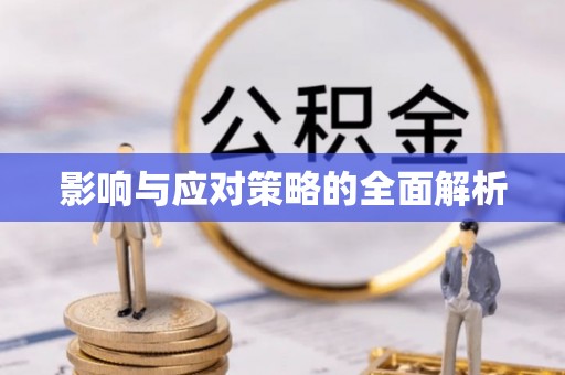洛宁影响与应对策略的全面解析
