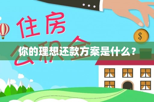 洛宁你的理想还款方案是什么？