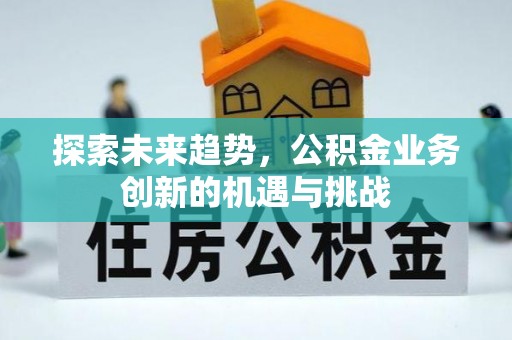 洛宁探索未来趋势，公积金业务创新的机遇与挑战