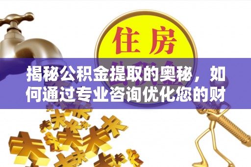 洛宁揭秘公积金提取的奥秘，如何通过专业咨询优化您的财务规划