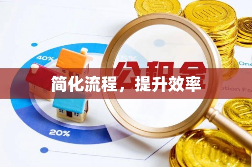 洛宁简化流程，提升效率