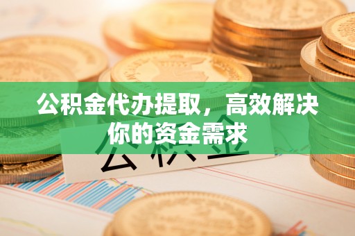 洛宁公积金代办提取，高效解决你的资金需求