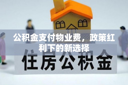 洛宁公积金支付物业费，政策红利下的新选择
