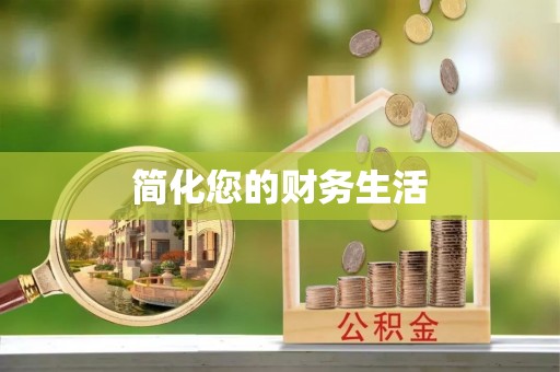洛宁简化您的财务生活