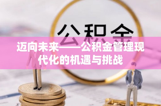 洛宁迈向未来——公积金管理现代化的机遇与挑战
