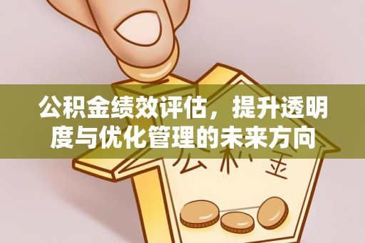 洛宁公积金绩效评估，提升透明度与优化管理的未来方向
