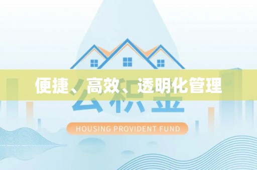 洛宁便捷、高效、透明化管理