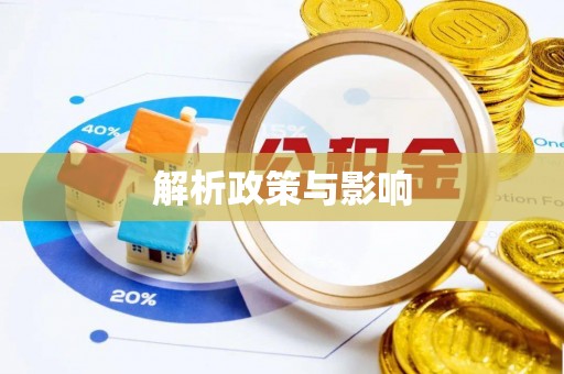 洛宁解析政策与影响
