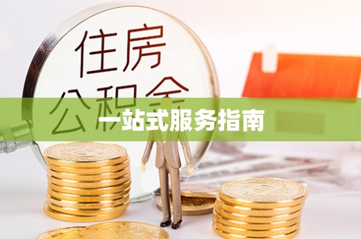 洛宁一站式服务指南