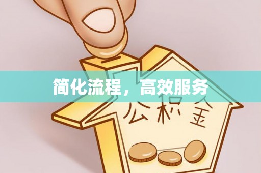 洛宁简化流程，高效服务