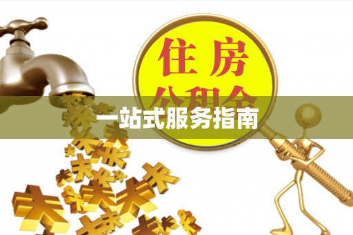 洛宁一站式服务指南