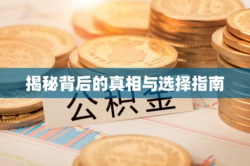 洛宁揭秘背后的真相与选择指南