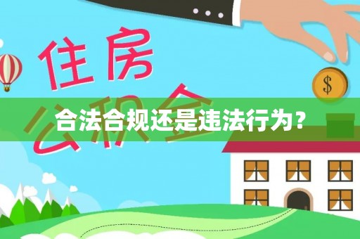 洛宁合法合规还是违法行为？