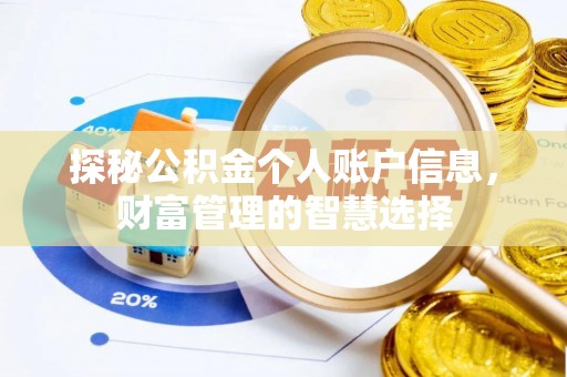 洛宁探秘公积金个人账户信息，财富管理的智慧选择