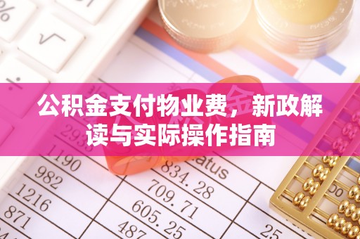 洛宁公积金支付物业费，新政解读与实际操作指南