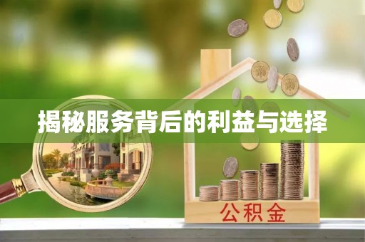 洛宁揭秘服务背后的利益与选择