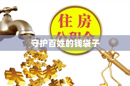 洛宁守护百姓的钱袋子