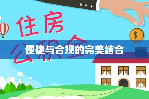 洛宁便捷与合规的完美结合