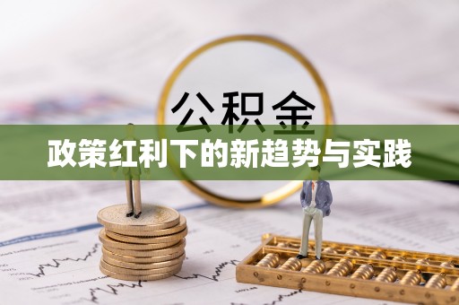 洛宁政策红利下的新趋势与实践