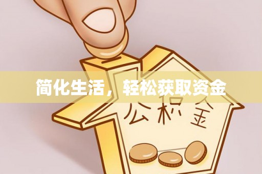 洛宁简化生活，轻松获取资金