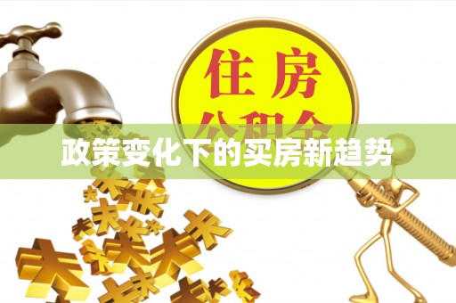洛宁政策变化下的买房新趋势