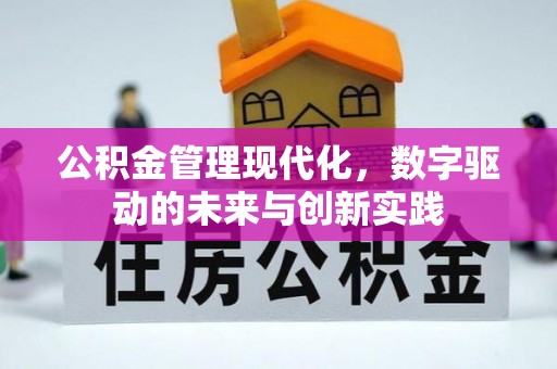 洛宁公积金管理现代化，数字驱动的未来与创新实践
