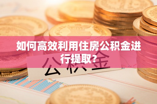 洛宁如何高效利用住房公积金进行提取？