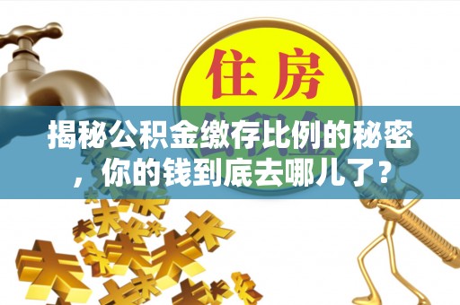 洛宁揭秘公积金缴存比例的秘密，你的钱到底去哪儿了？