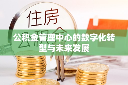 洛宁公积金管理中心的数字化转型与未来发展