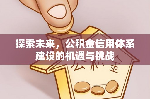 洛宁探索未来，公积金信用体系建设的机遇与挑战