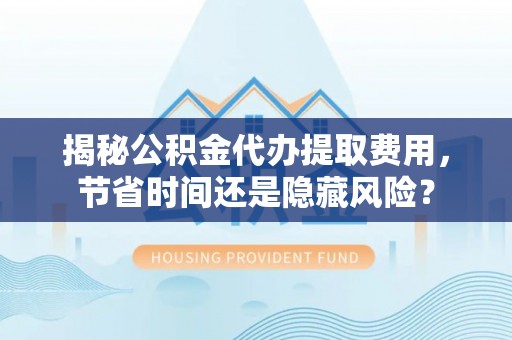 洛宁揭秘公积金代办提取费用，节省时间还是隐藏风险？