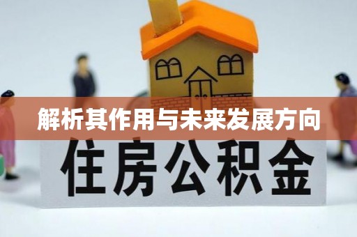 洛宁解析其作用与未来发展方向