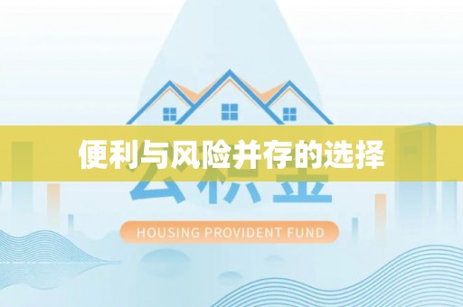 洛宁便利与风险并存的选择